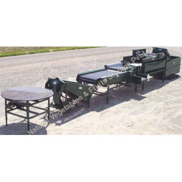 Fruit and Vegetable Sorting Grading Machine