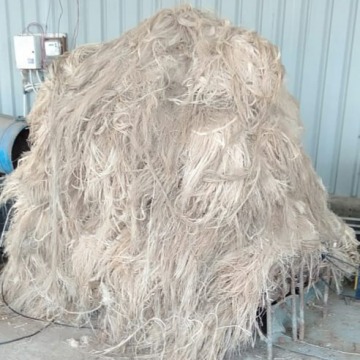Banana Fiber