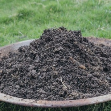 Soil Compost