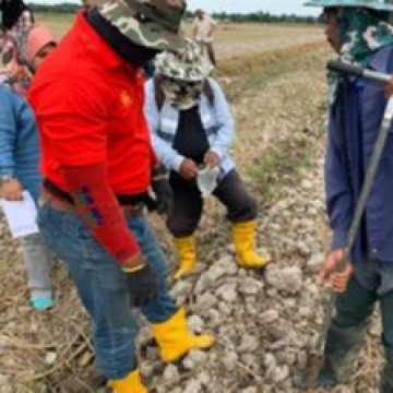 SOIL SURVEY