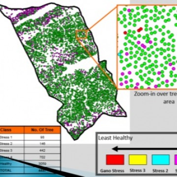 HYPERSPECTRAL DATA SERVICES