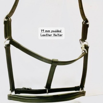 Leather bridle 