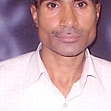 all sector