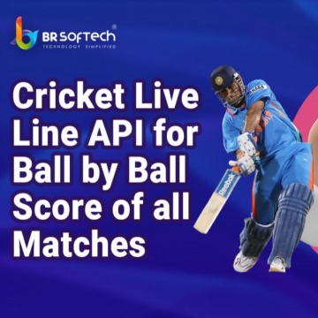 Cricket Live Line API for Ball by Ball all Matches