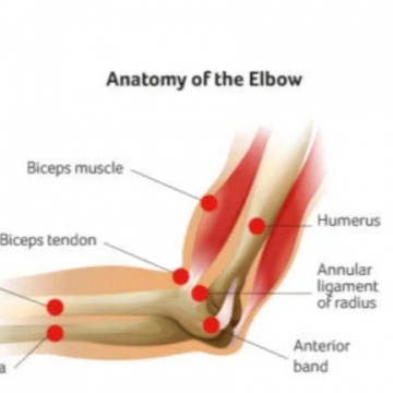 Elbow Pain Treatment in NYC
