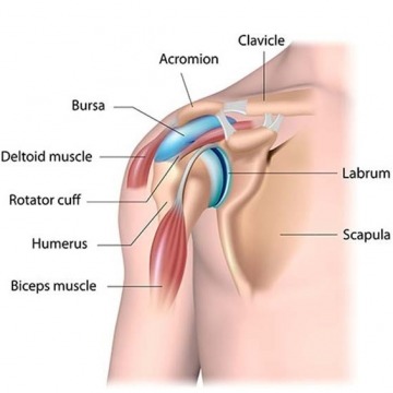Shoulder Pain Specialists in NJ