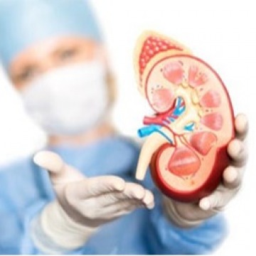 Nephrology Doctors in Downtown, Brooklyn NY