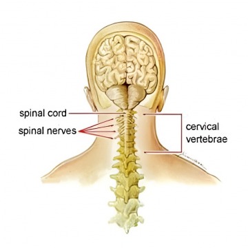 Neck Pain Treatment in New Jersey