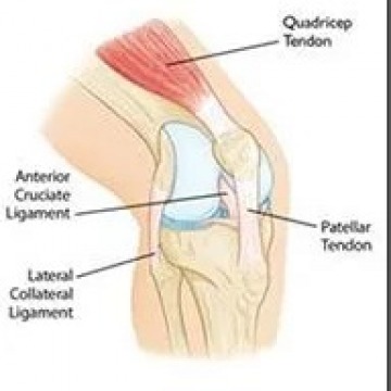 Knee Injury treatment in Edison, NJ