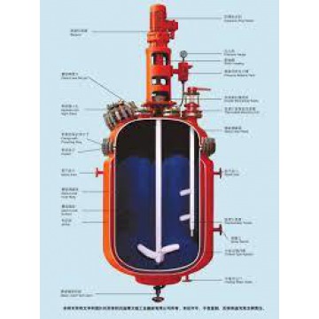Glass-lined Reactor