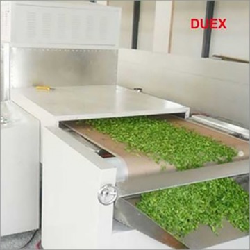 Industrial Veg Dehydration Plant