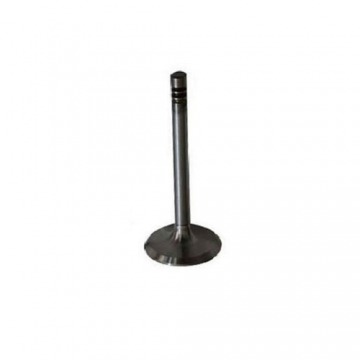 Lightweight Manual Stainless Steel Generator Engine Valve For Agricultural Use