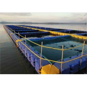 Modular Fish Cage Culture Pontoon