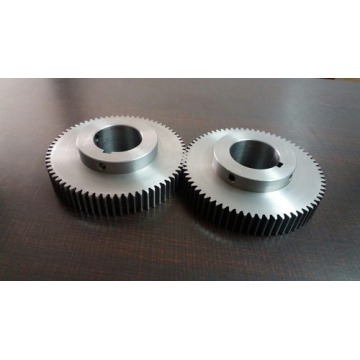 MS Spur Gear