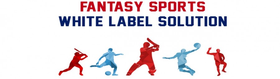 Fansportiz  White Label Fantasy Sports App India