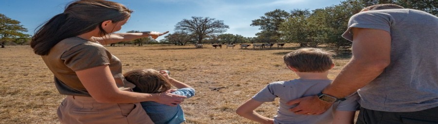 Artemis Ranch & Retreat
