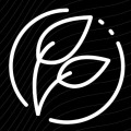 PR & Branding Techniche