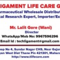 Lalit Gore
