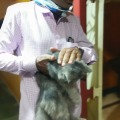 Nilesh Tanna