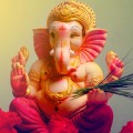 Sweety Shrivastav