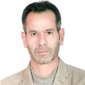 ali akbari