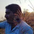 Adiveppa Malannavar