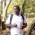 THEOPHILUS ASAMOAH