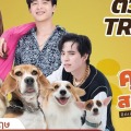afsdd asdaa