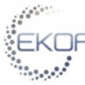 sales manager