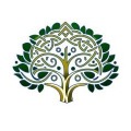 Displaycia Events
