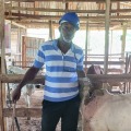 Kolade Oluwatoyin