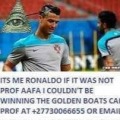 Prof Aafa