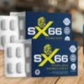 SX66 Review
