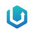 USA IT FIRM